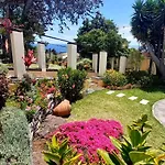 Elegant And Relaxing Seaview With Pool شقة فونشال