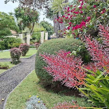 公寓 Elegant And Relaxing Seaview With Pool *