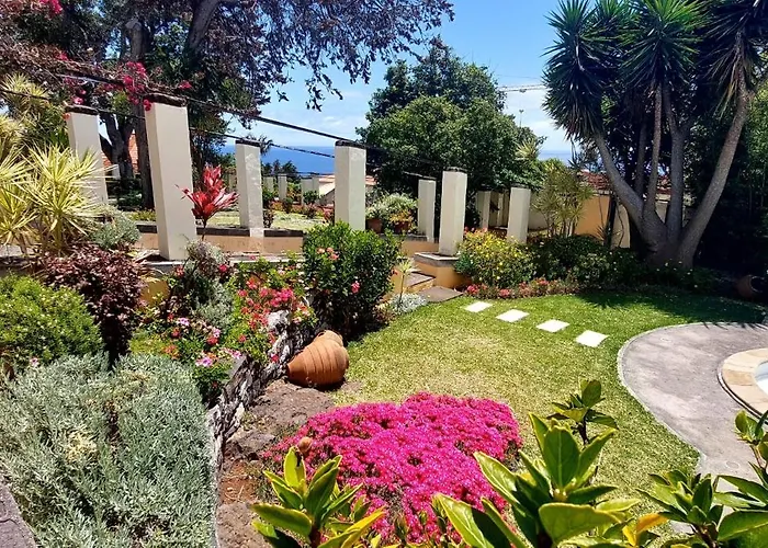 Elegant And Relaxing Seaview With Pool 公寓 丰沙尔